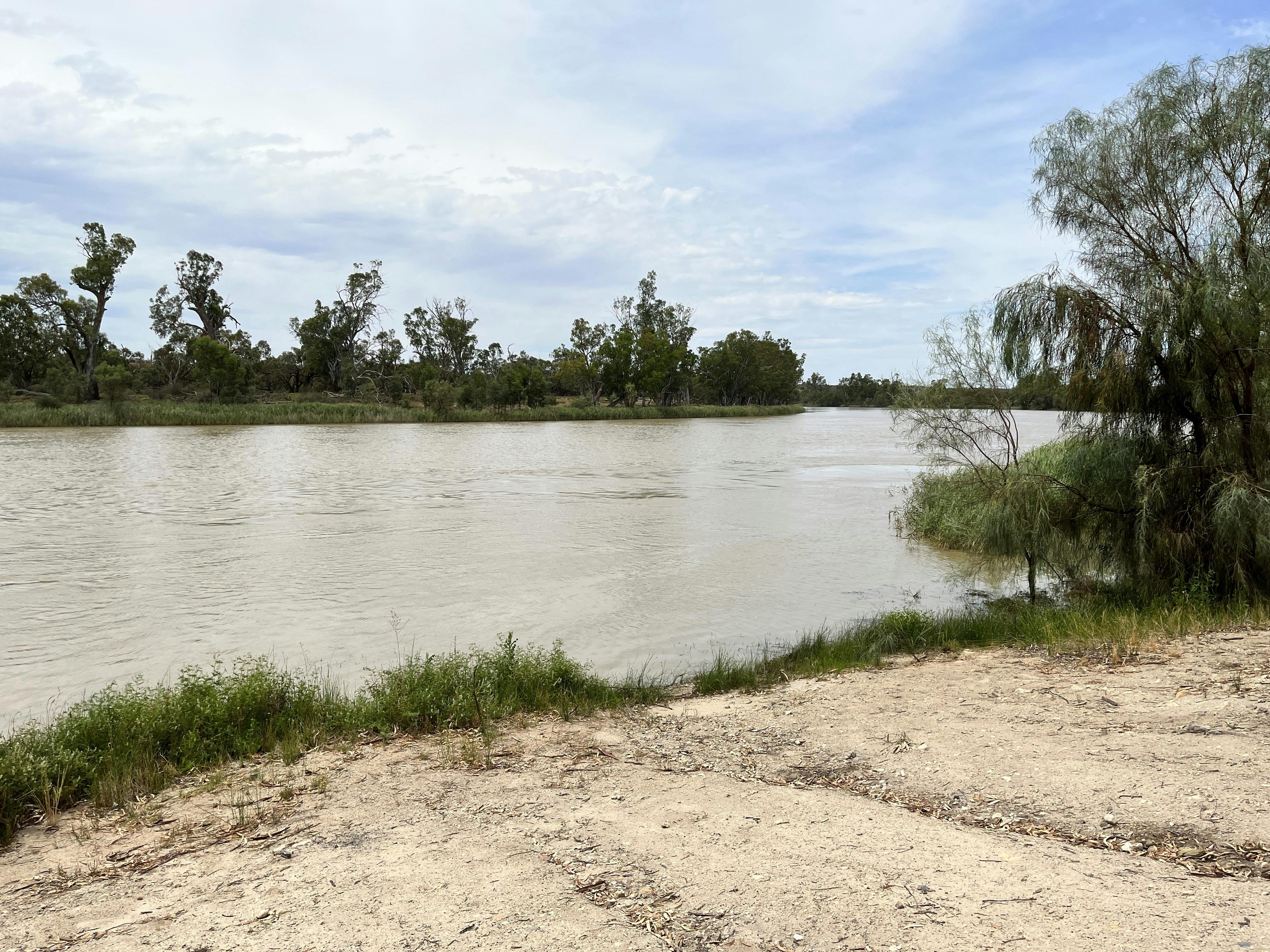 Gun Club Road Camping Area