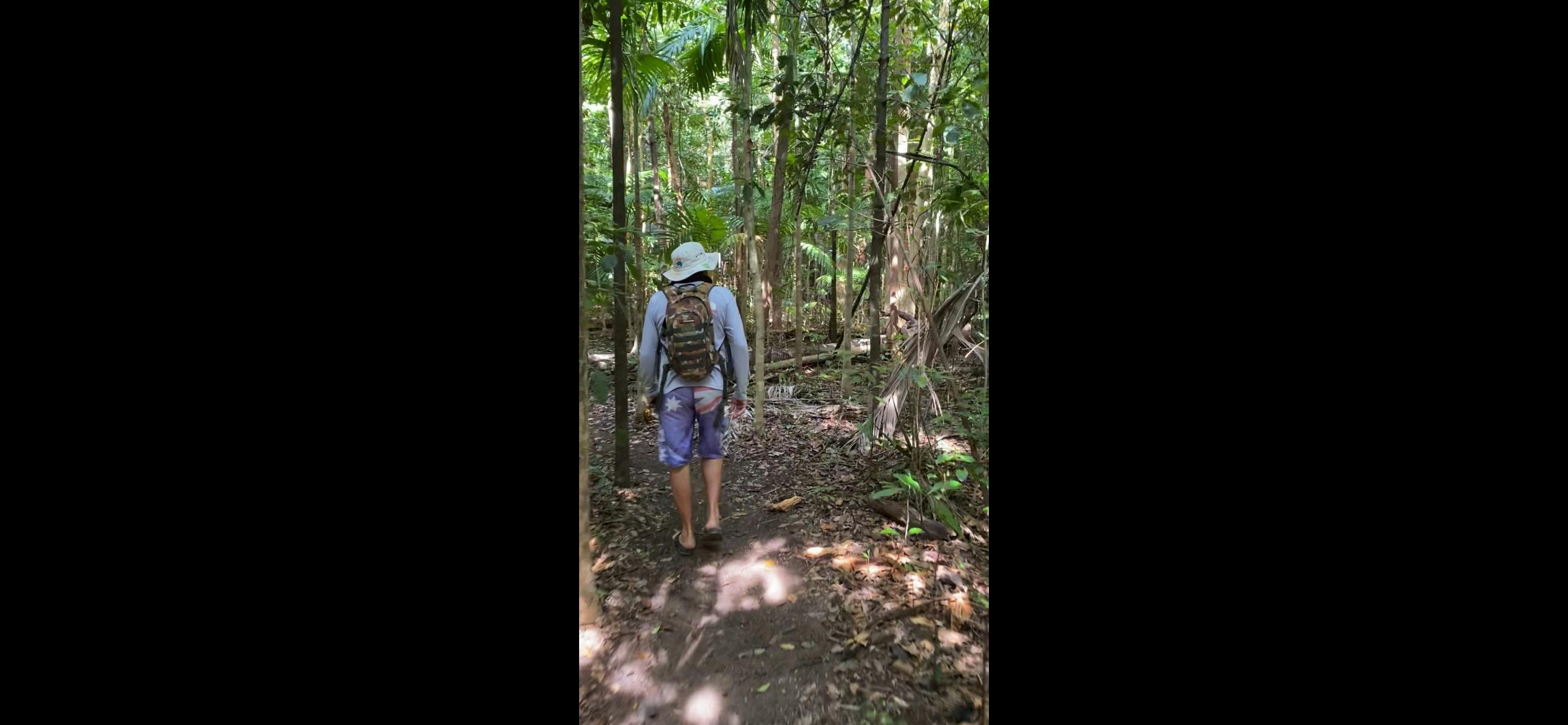 Amazing forest walking to Shepard Bay