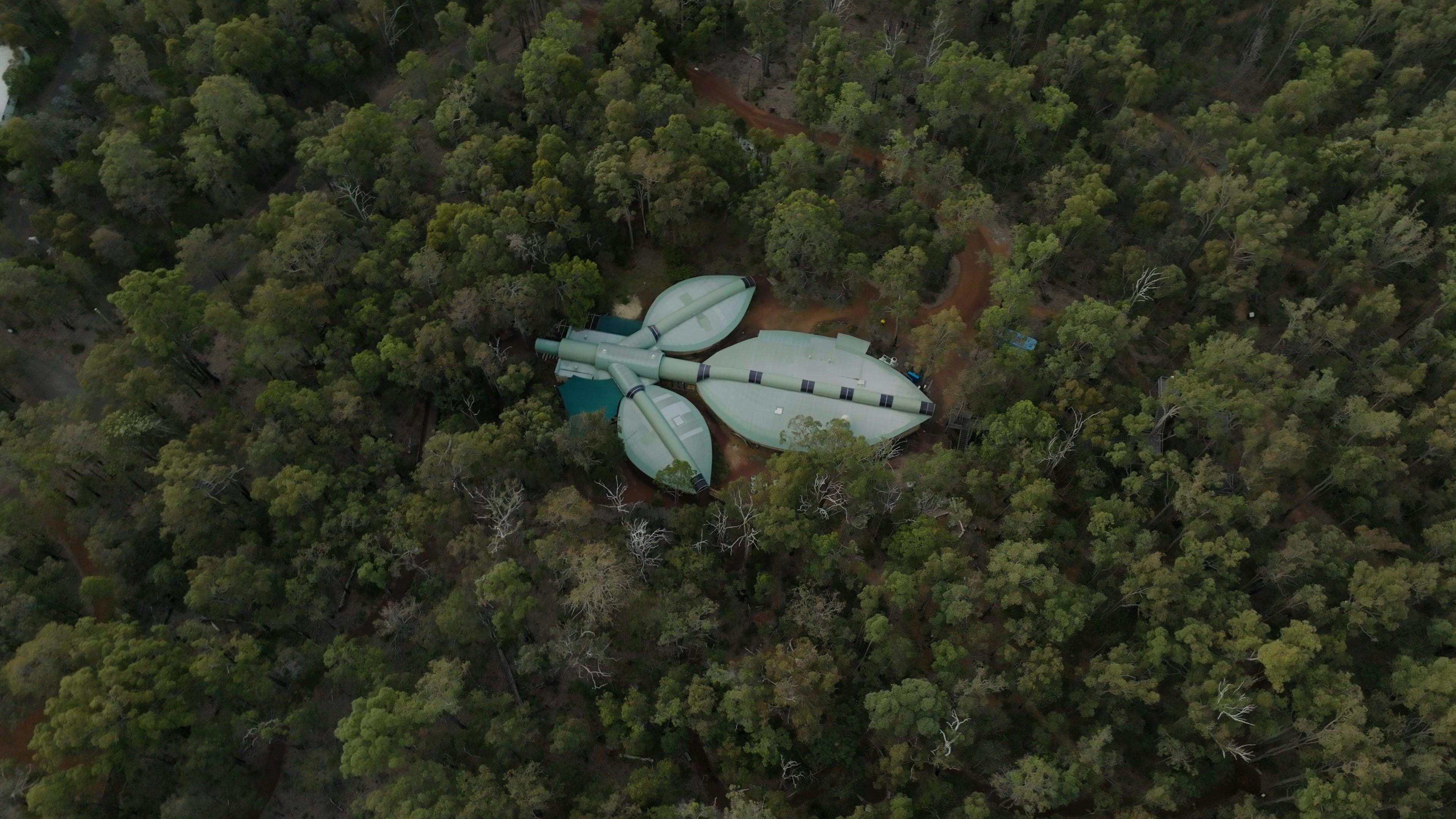 Forest Discovery Centre