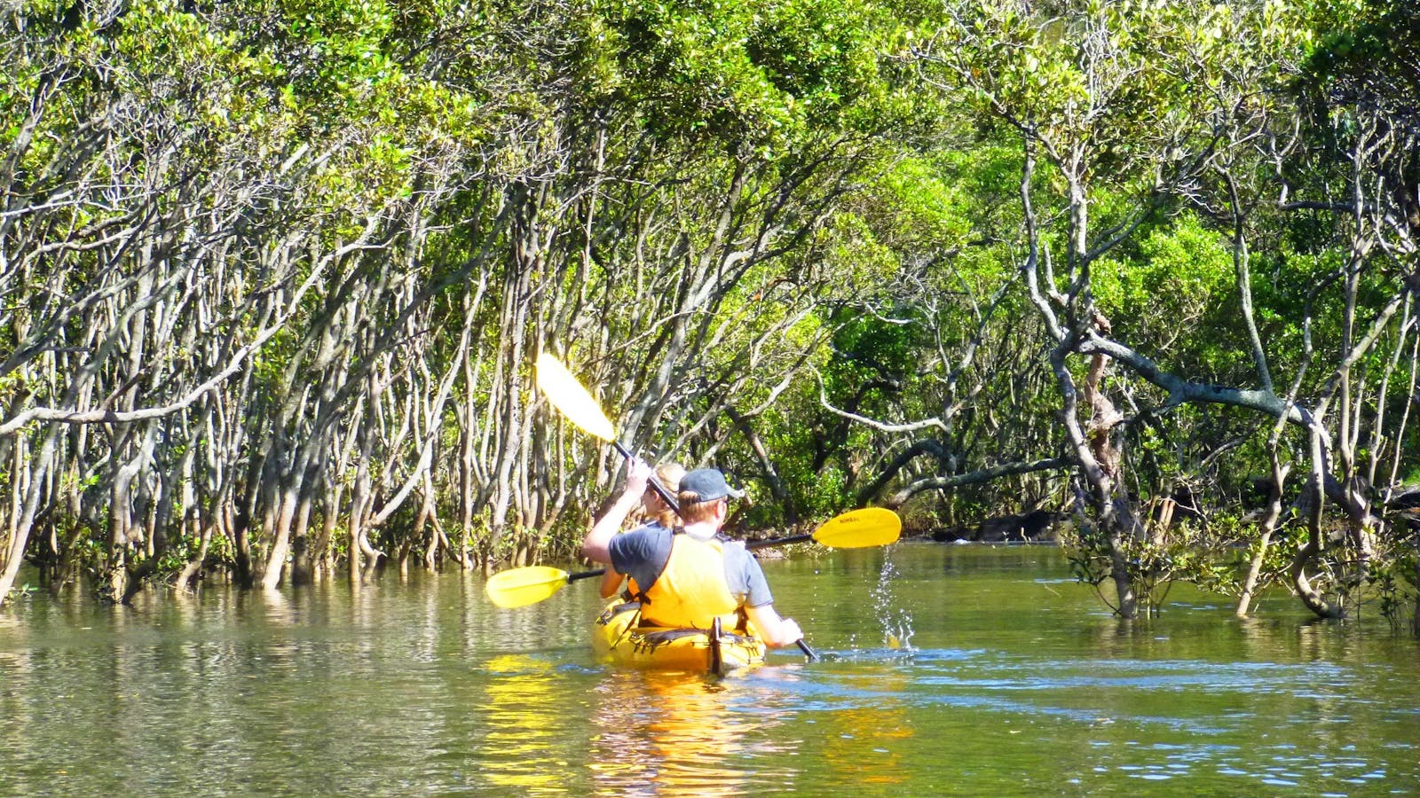 Sydney Harbour Kayaks