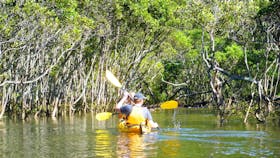 Kayak Eco Tours - visit places only kayaks can get you to