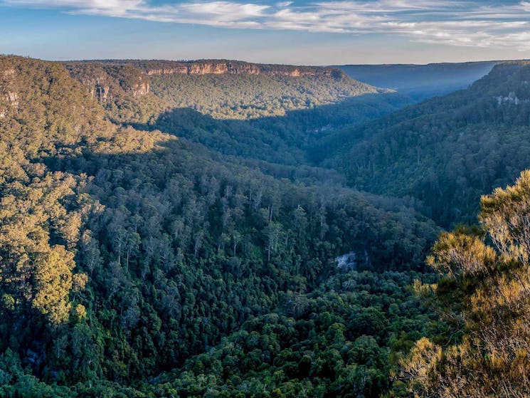 Missingham lookout track, Budderoo National Park. Photo: Michael Van Ewijk