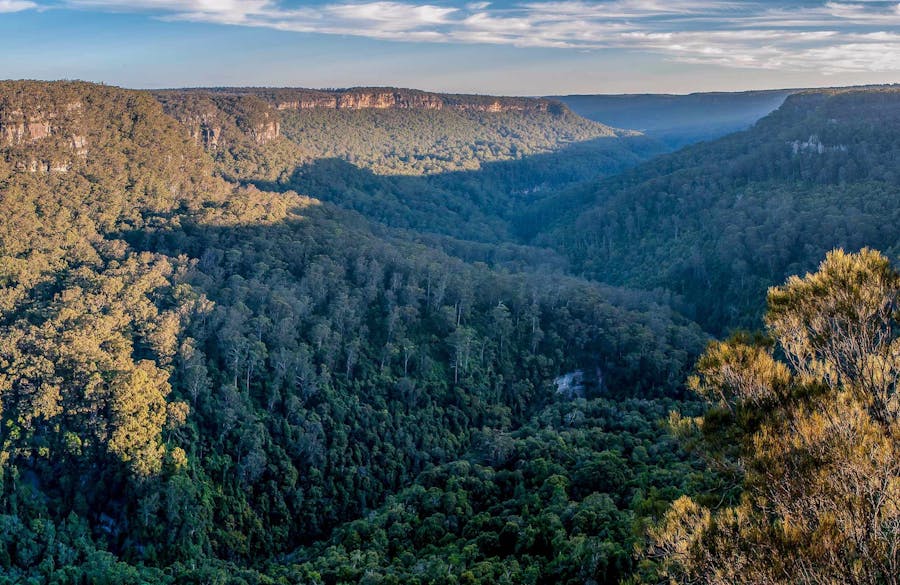 Missingham lookout track, Budderoo National Park. Photo: Michael Van Ewijk