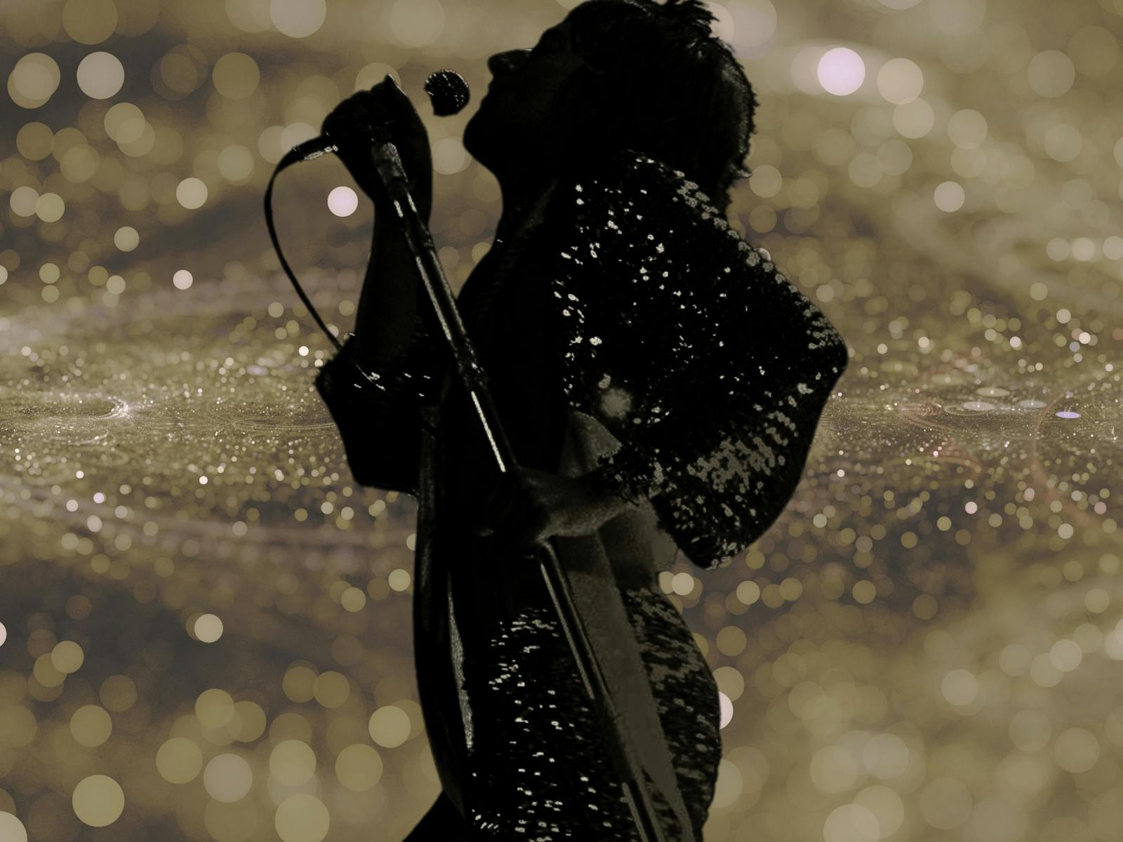 Image for The UK Rod Stewart Show - Princess Theatre, Launceston
