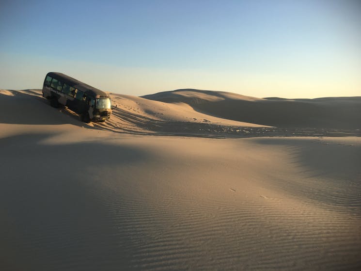 Stockton Sand Dunes Private Charters