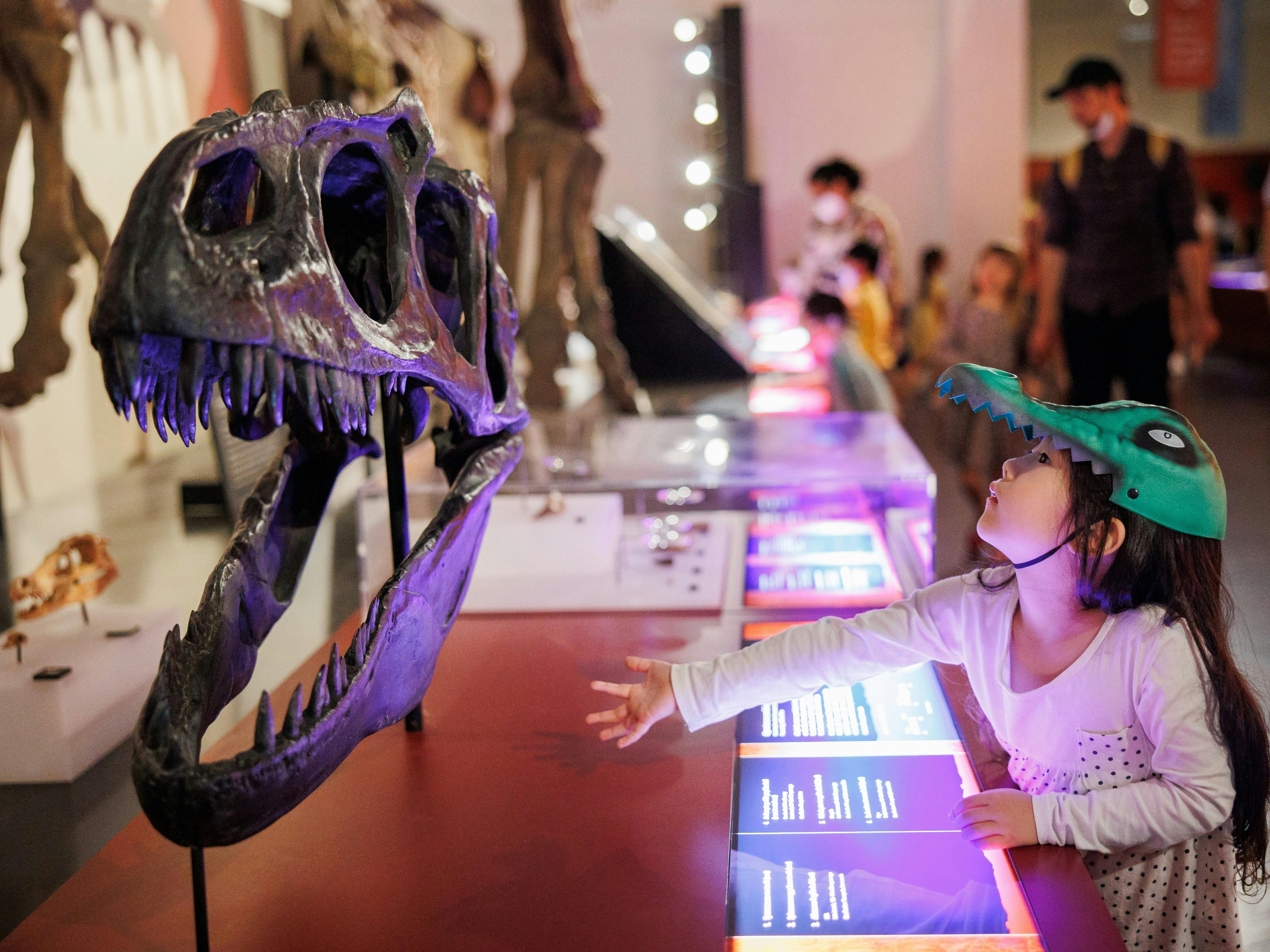 A young girl wearing a dinosaur hat inspects a dinosaur skeleton.