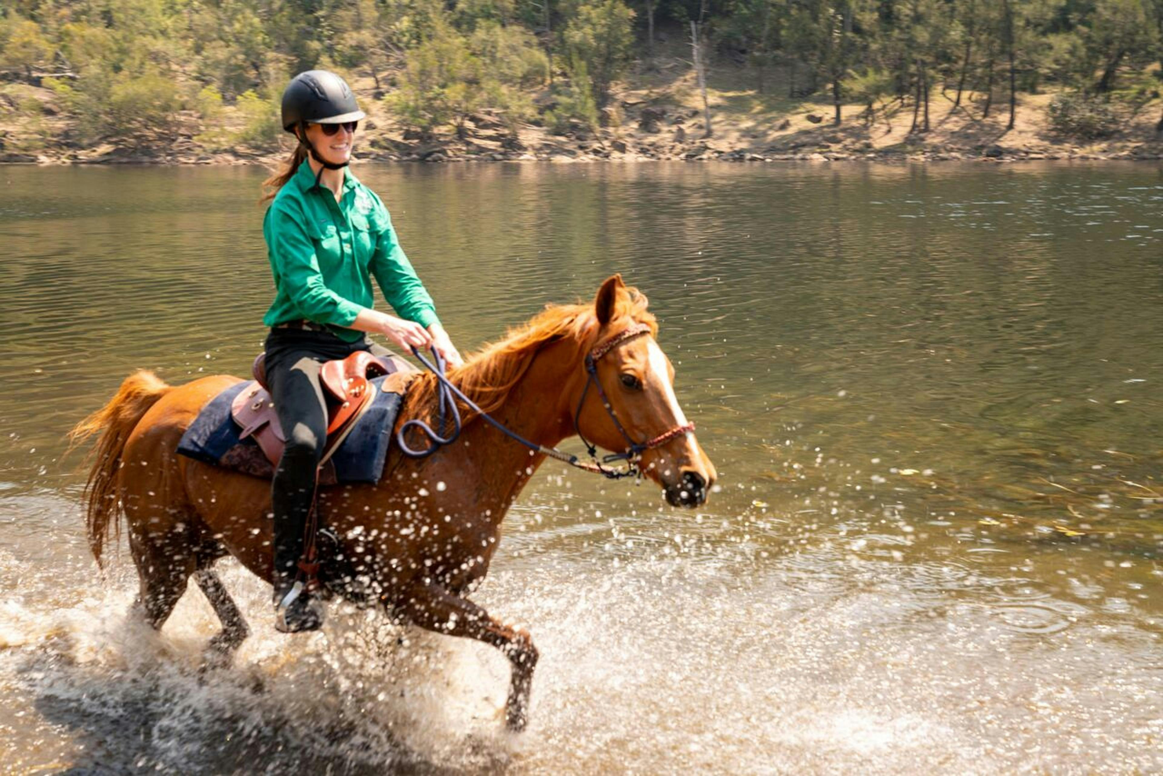 Horses and swimming, swimming with horses, shoalhaven river,