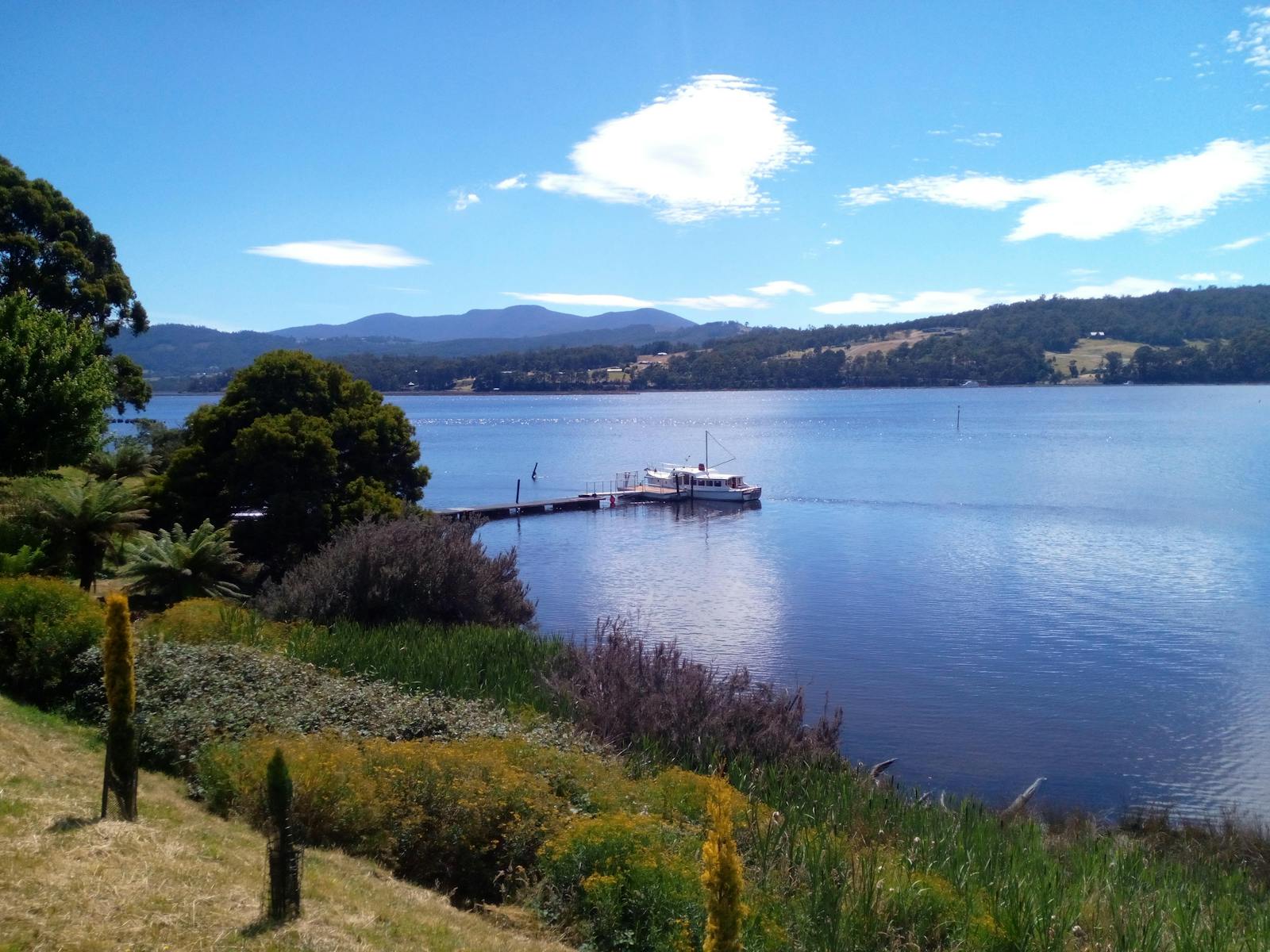 A view of La Drone from the vineyard, Huon River Cruises boat tours