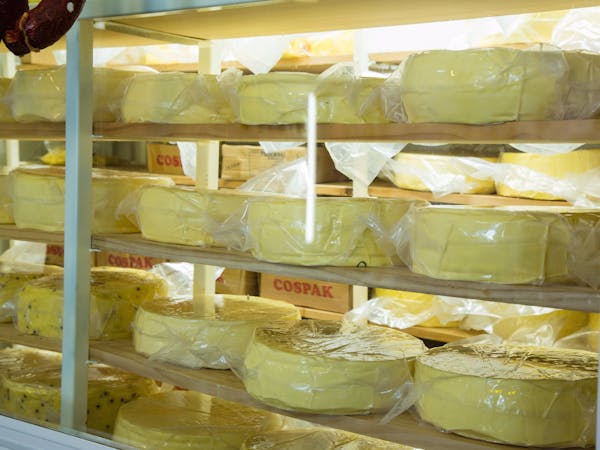 Stanthorpe Cheese