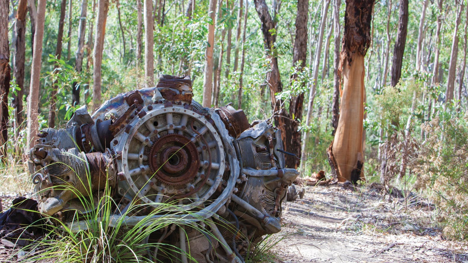 Kroombit Tops National Park