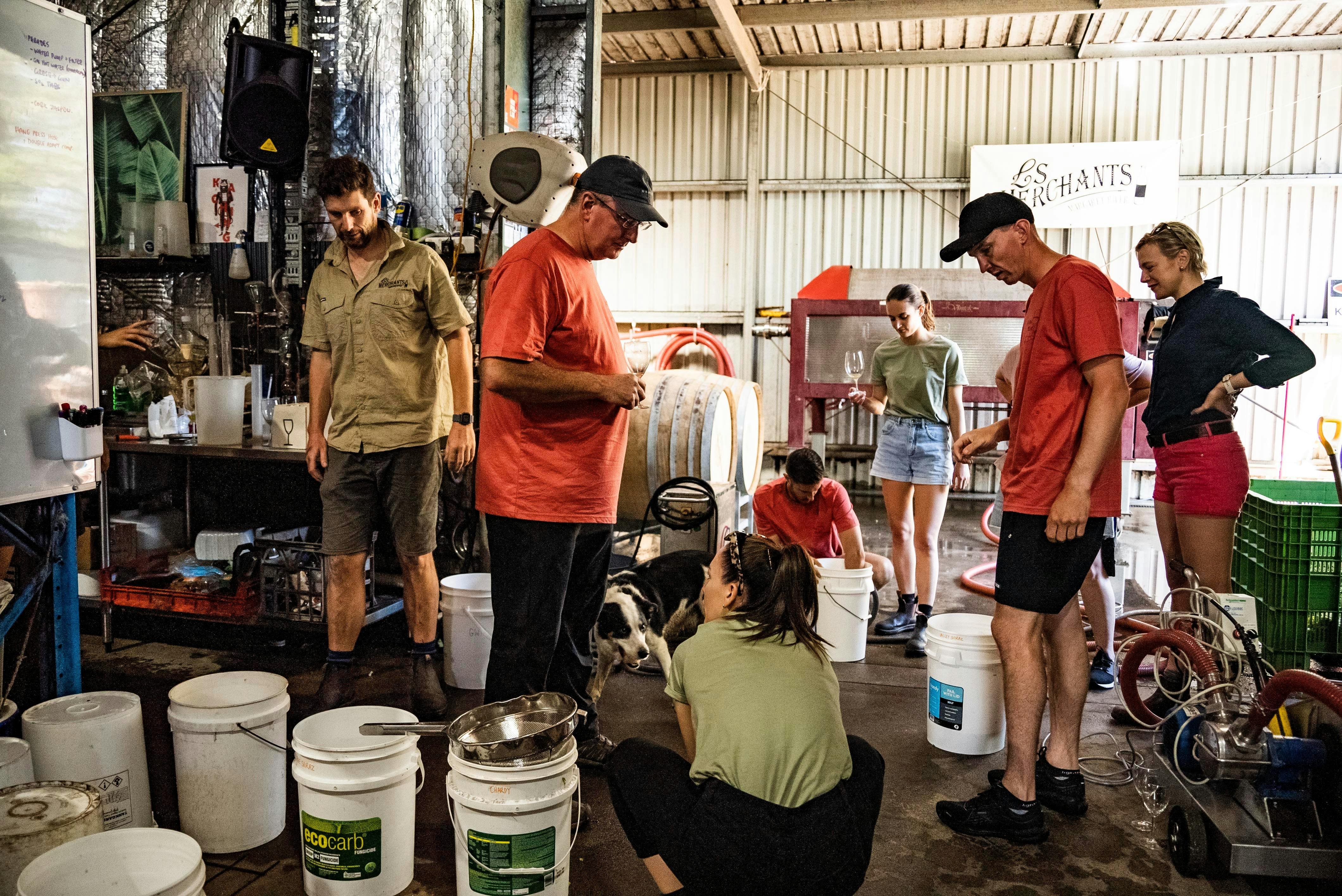 Earn Our Vino guests at LS Merchants processing grapes