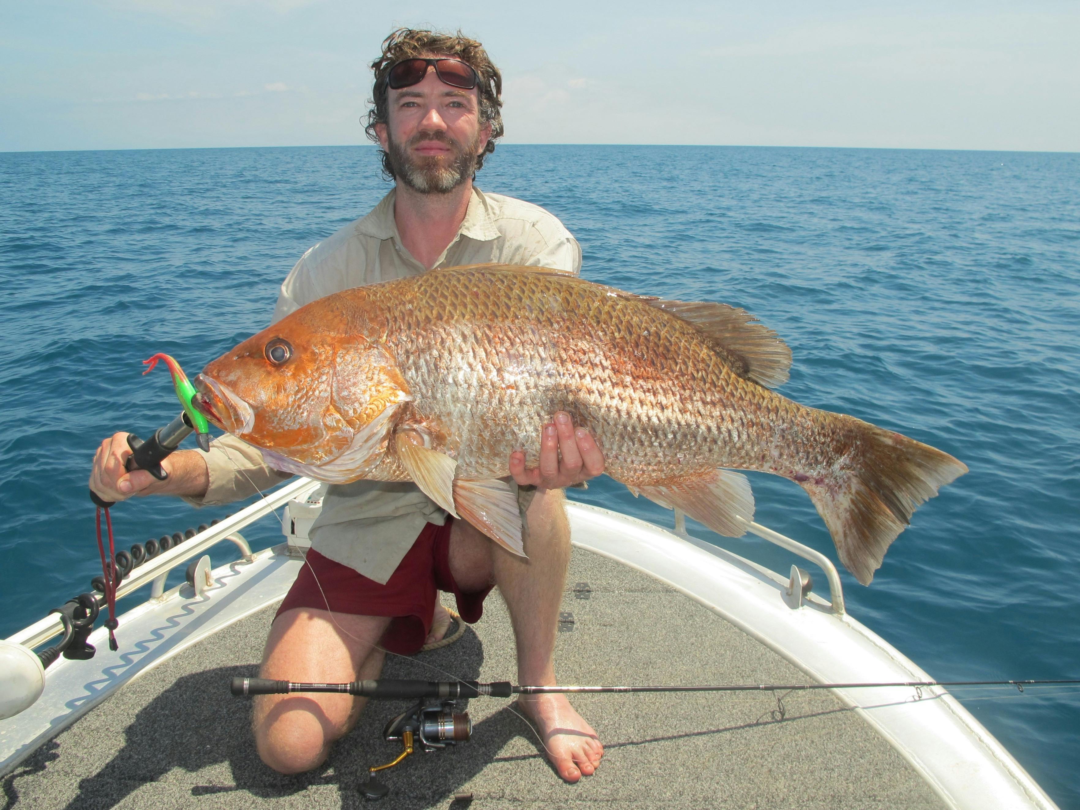 golden snapper