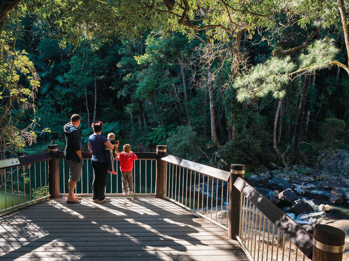 Spot a platypus from the viewing deck at Broken River