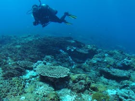 Hanging Rock Dive Site