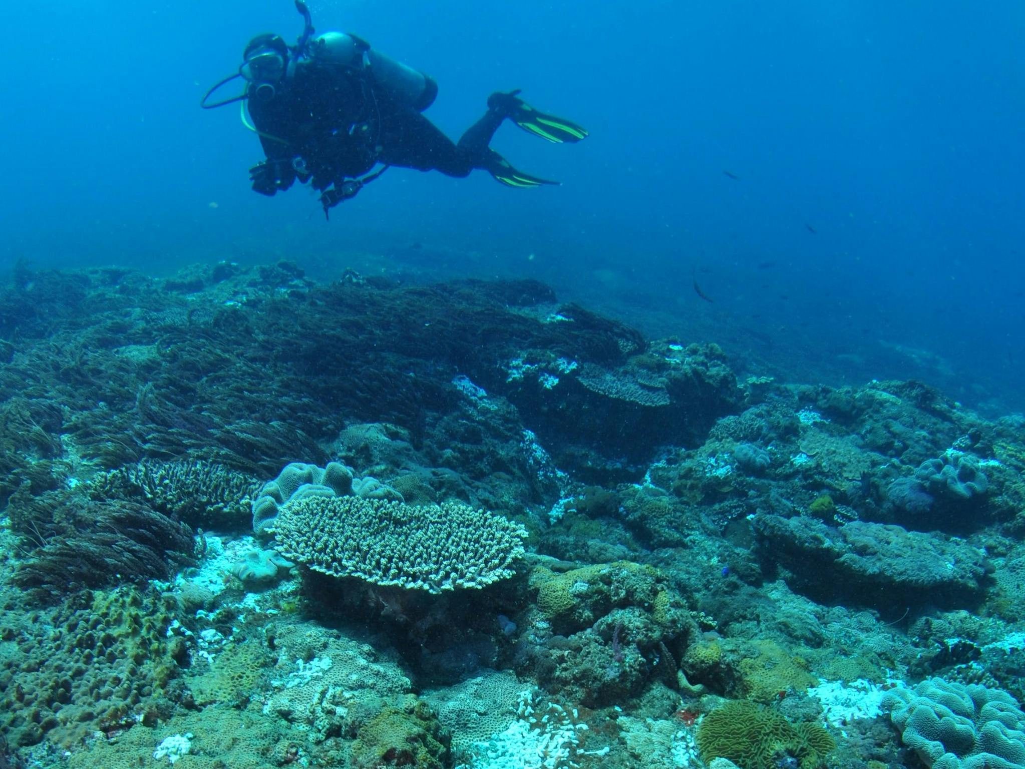 Hanging Rock Dive Site Hanging Rock Dive Site