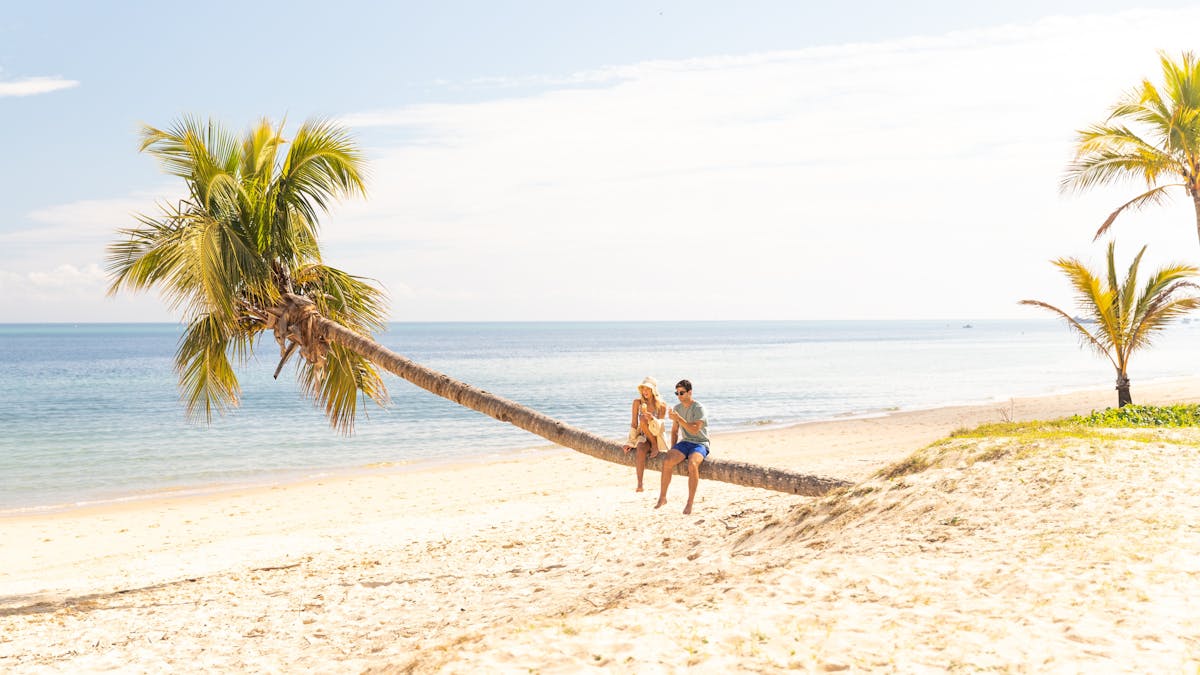 Couple sitting on the Tangalooma Leaning Palm Tree situated on the beach
