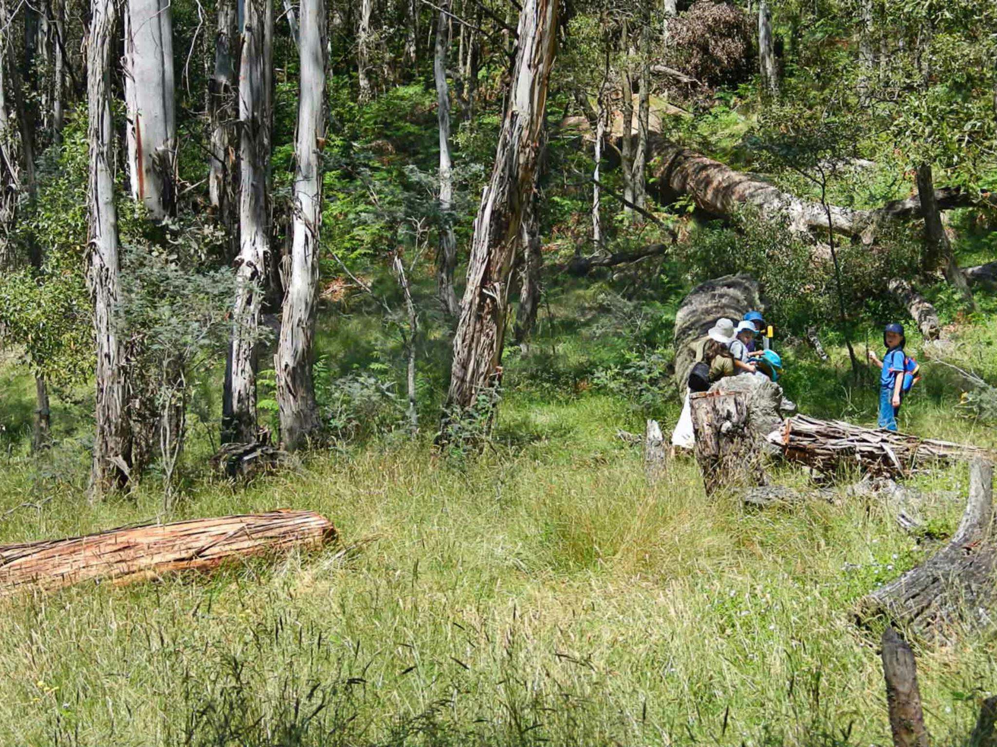 Federal Falls Walk