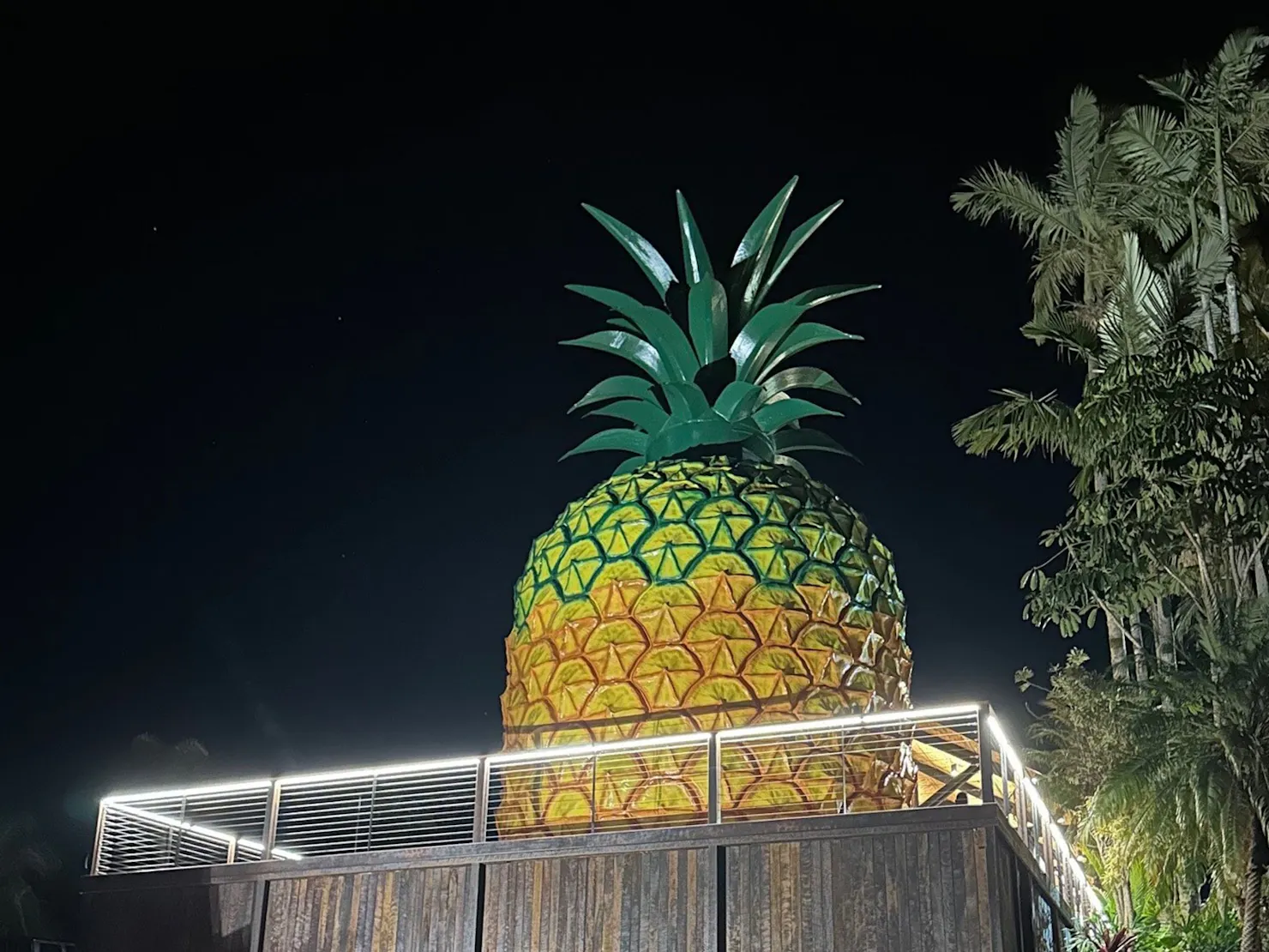 The Big Pineapple