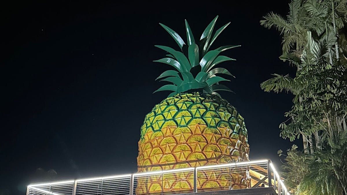 The Big Pineapple