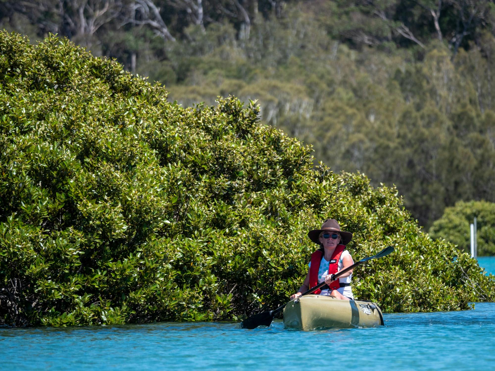 Kayaker with mangroves in background