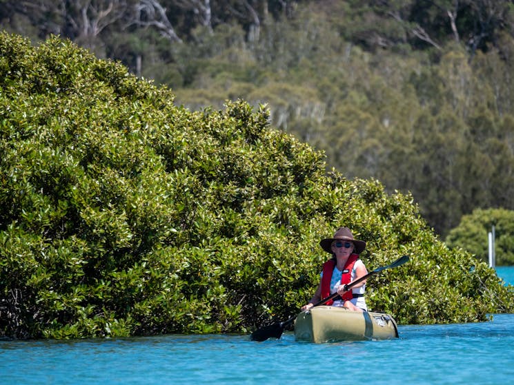 Kayaker with mangroves in background