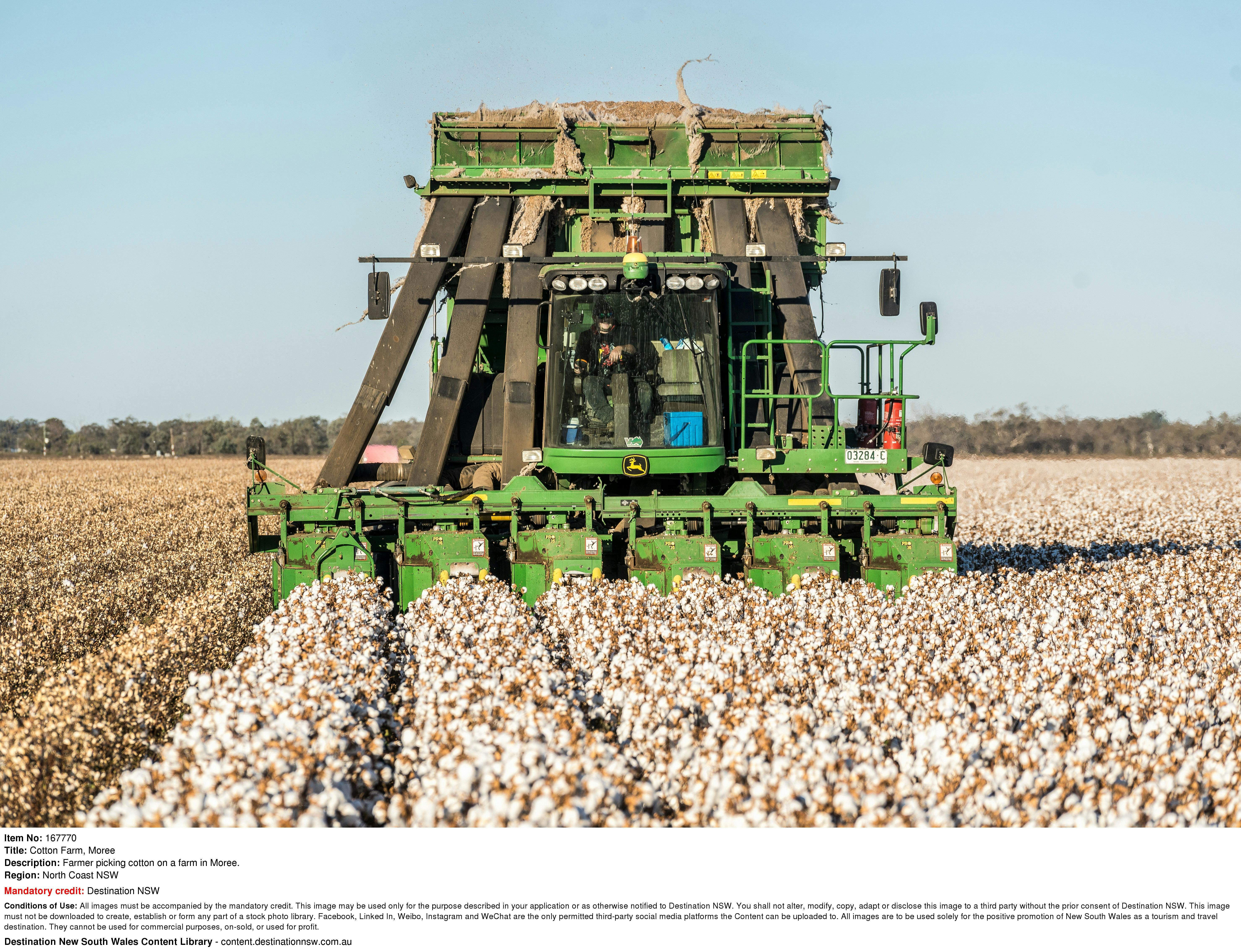 Cotton Farm and Gin Tour