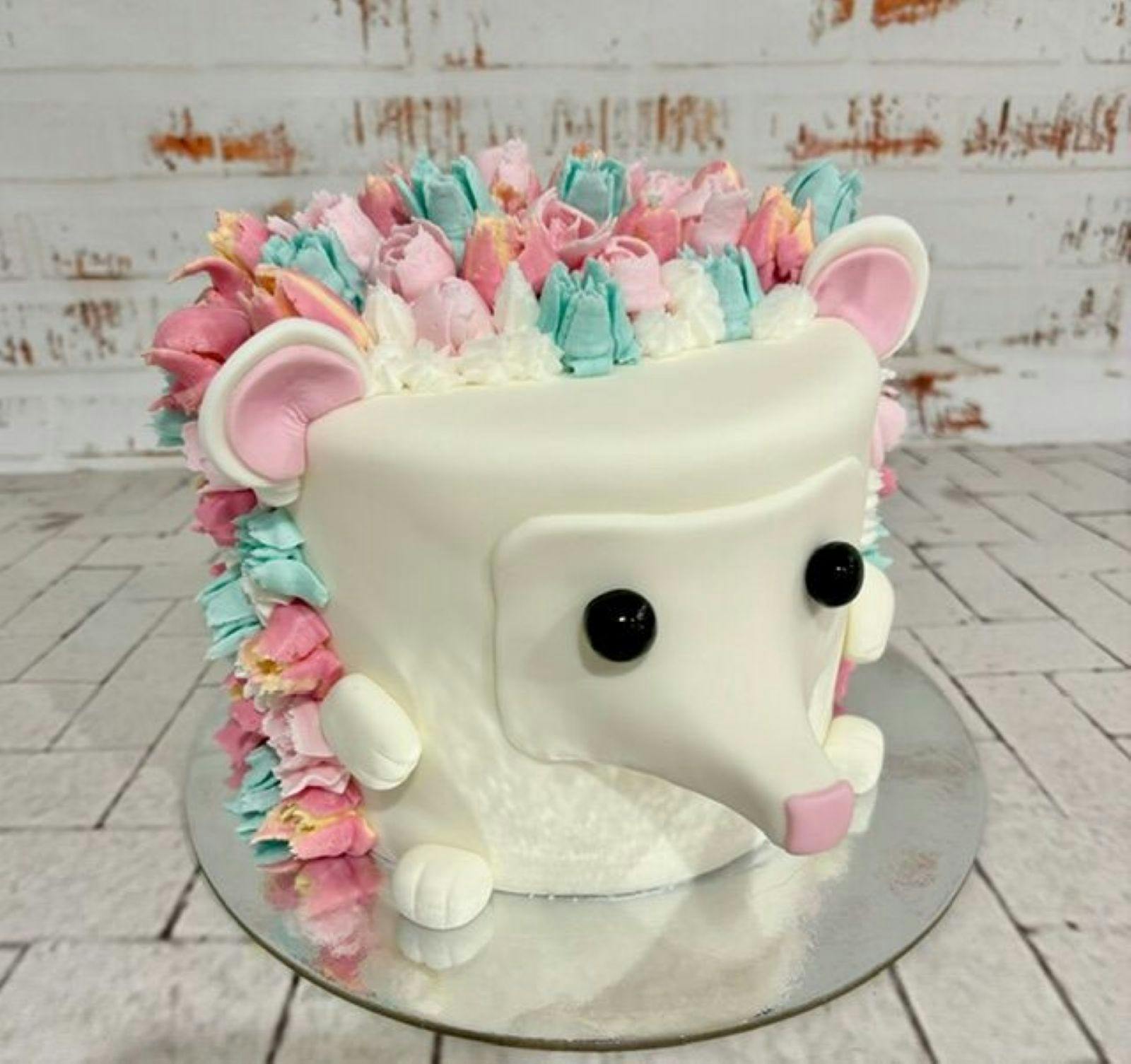 Hedgehog Cake Class