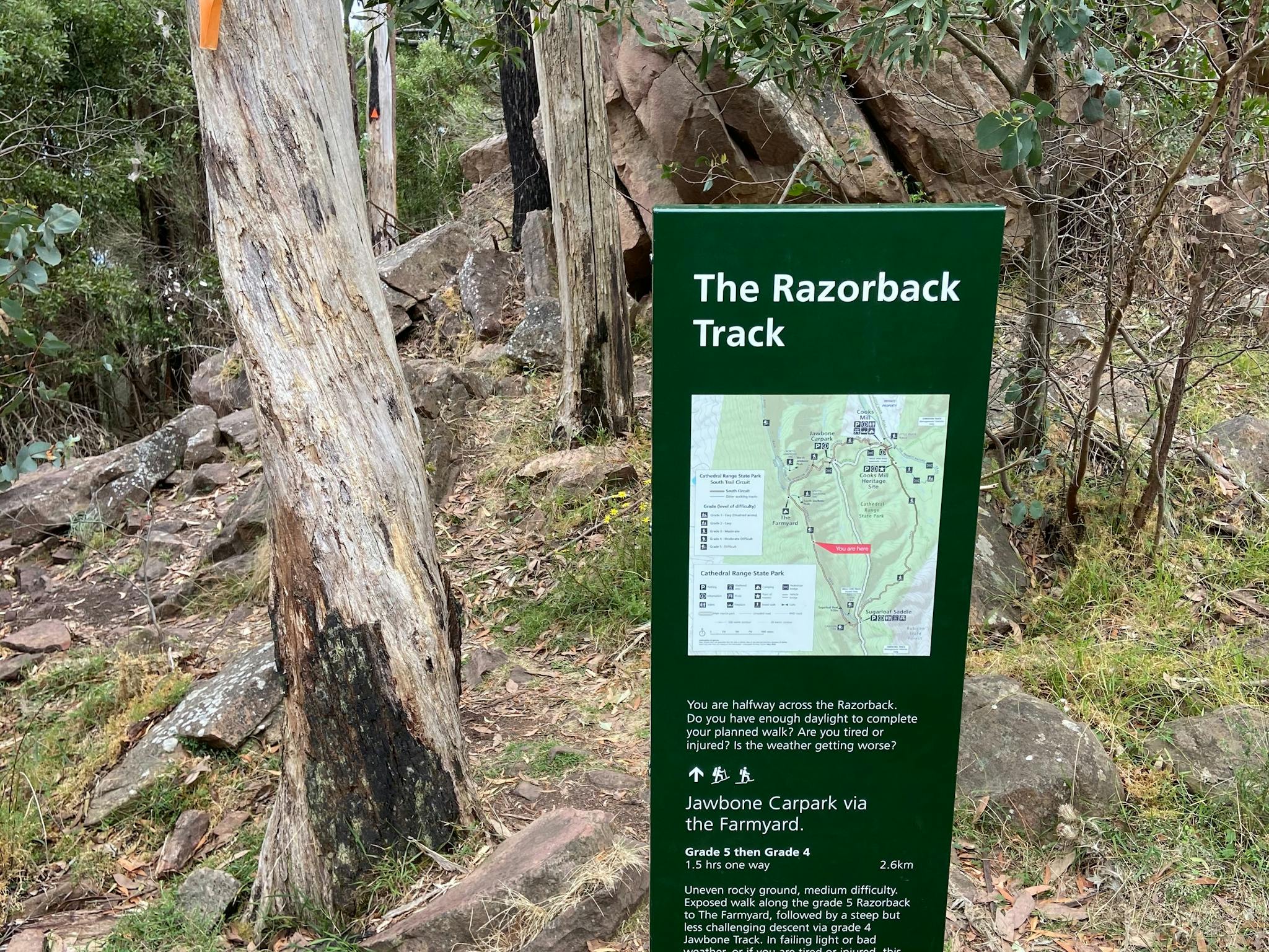 Razorback Track