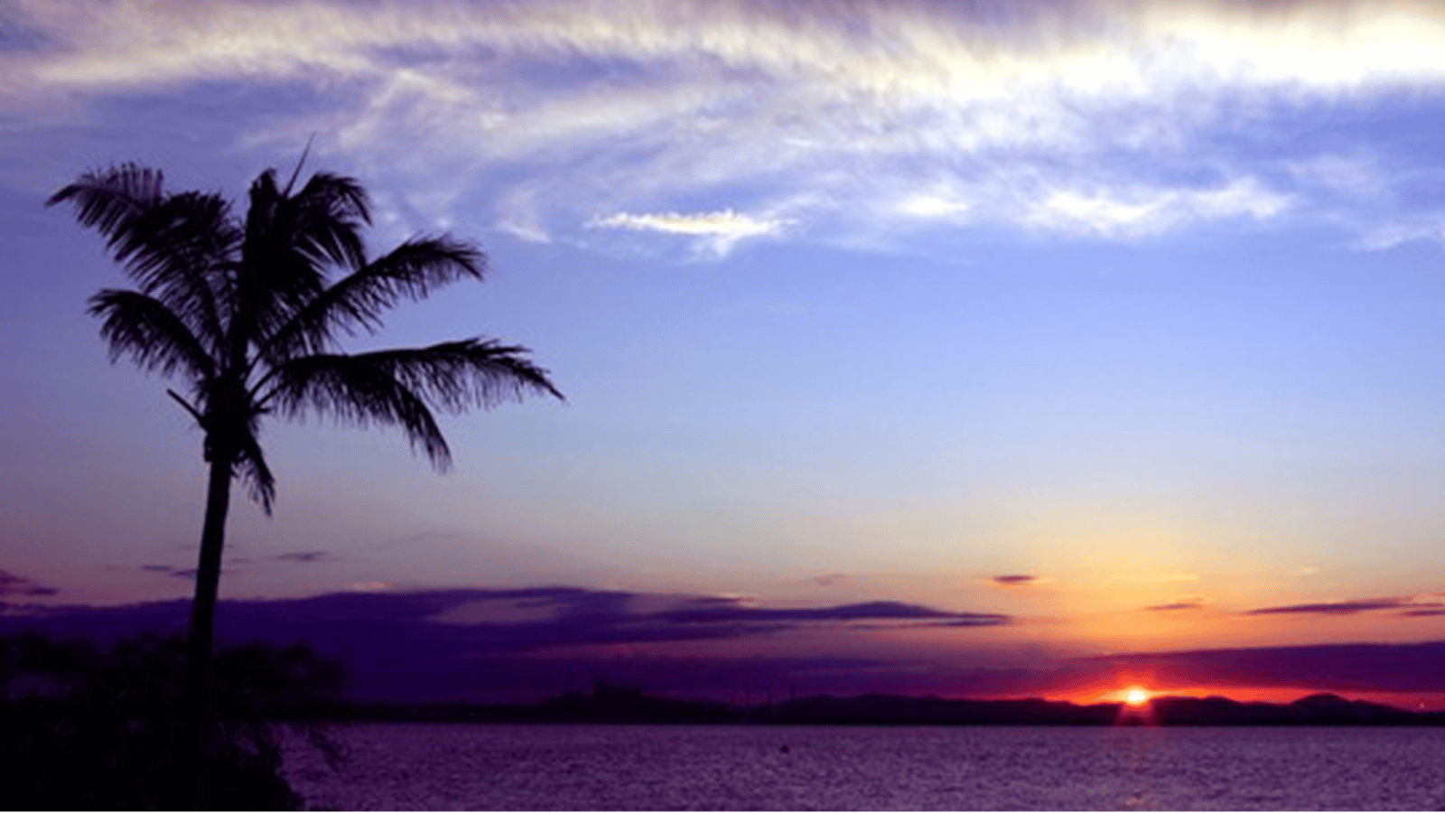 Quoin Island Retreat and Turtle Rehabilitation Centre
