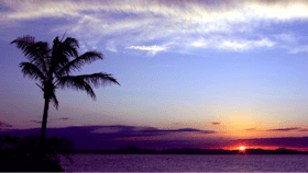 Quoin Island Retreat and Turtle Rehabilitation Centre