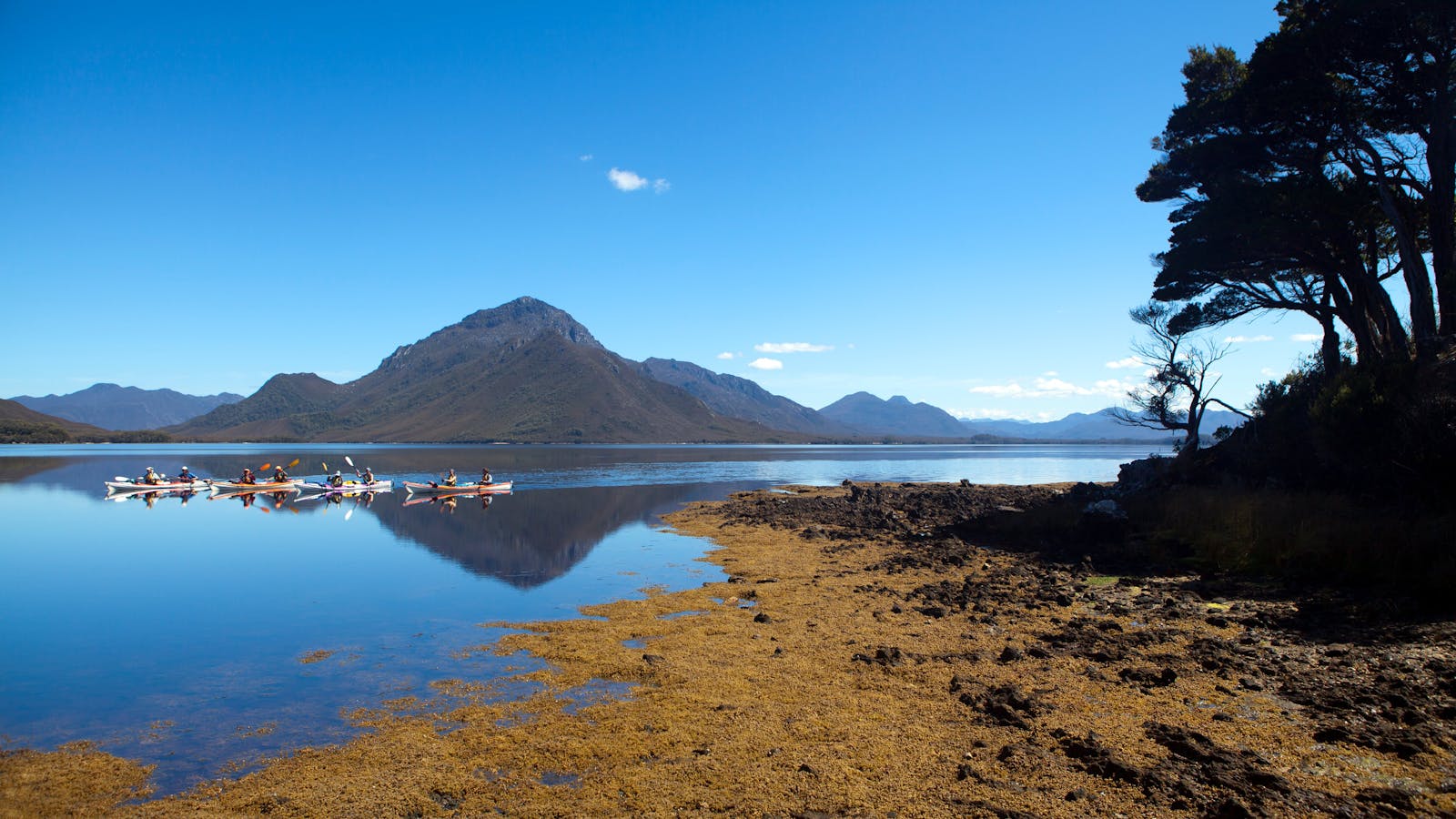 Kayakers paddling around the Celery Top Islands, Southwest Tasmania