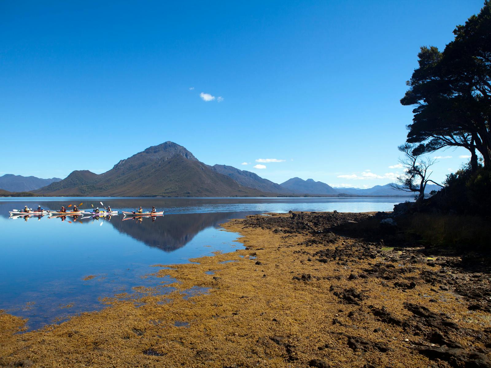 Kayakers paddling around the Celery Top Islands, Southwest Tasmania