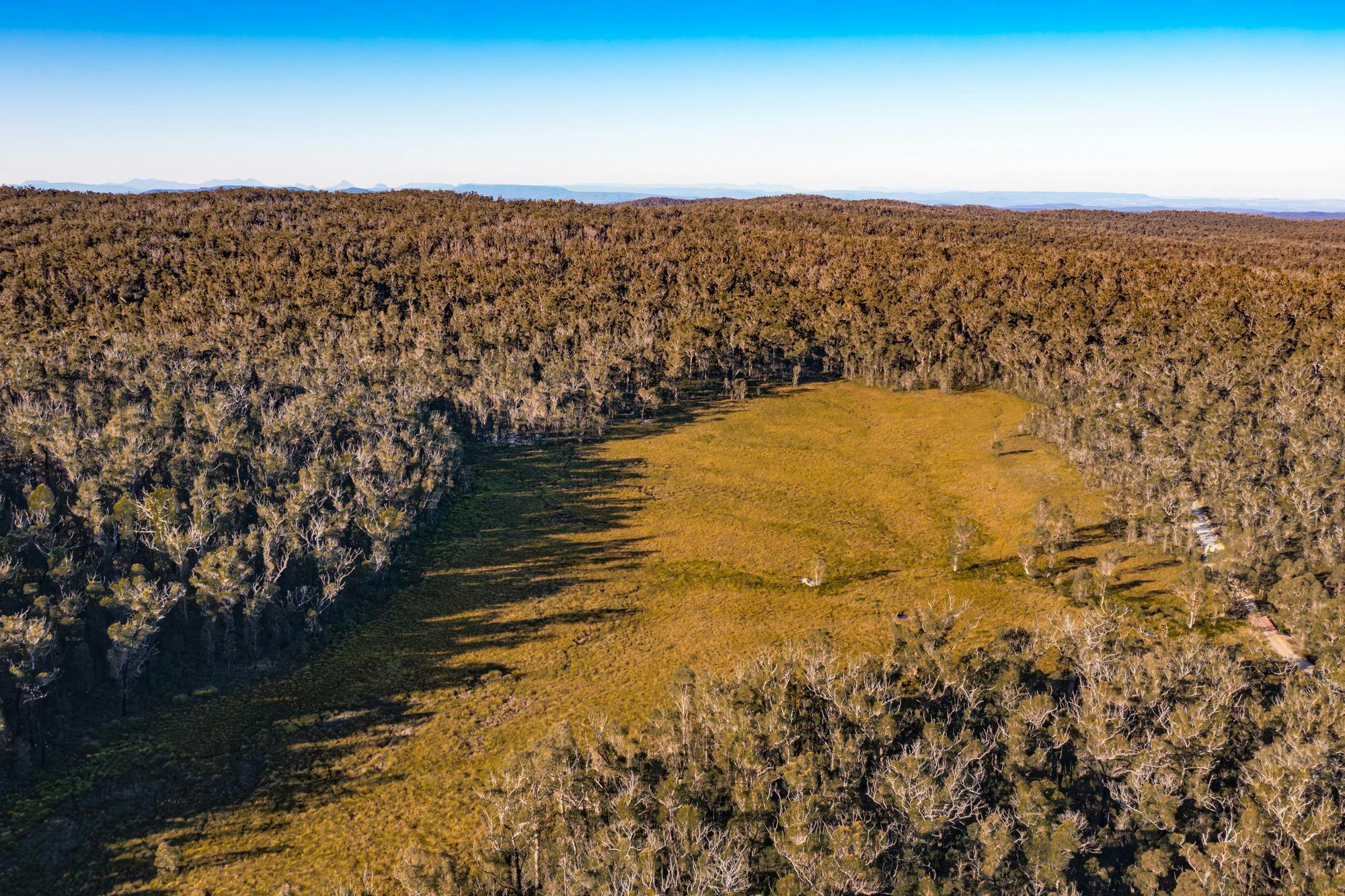 Basket Swamp feed the Falls