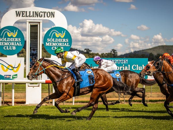 Wellington Boot Racing Carnival
