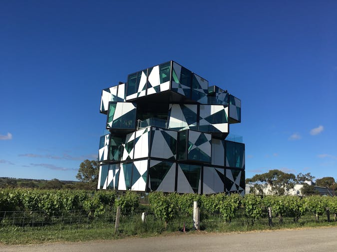 McLaren Vale Wine Tour Shiraz Trail