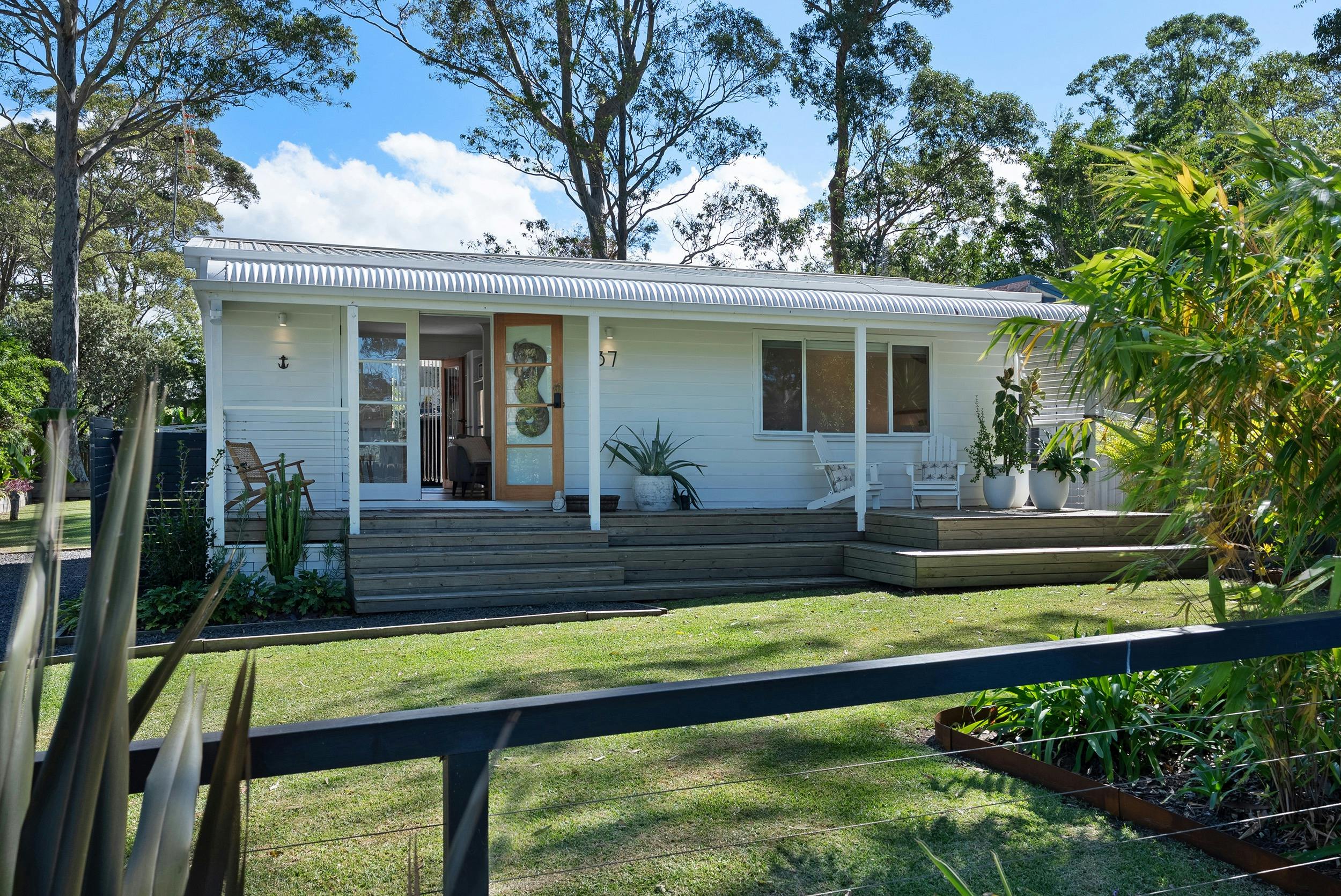 페페 사진작가 러셀 퀸