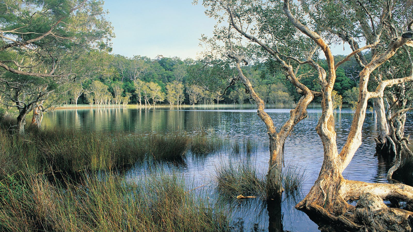 Cooloola, Great Sandy National Park