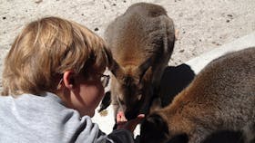 The Patriarch Wildlife Sanctuary