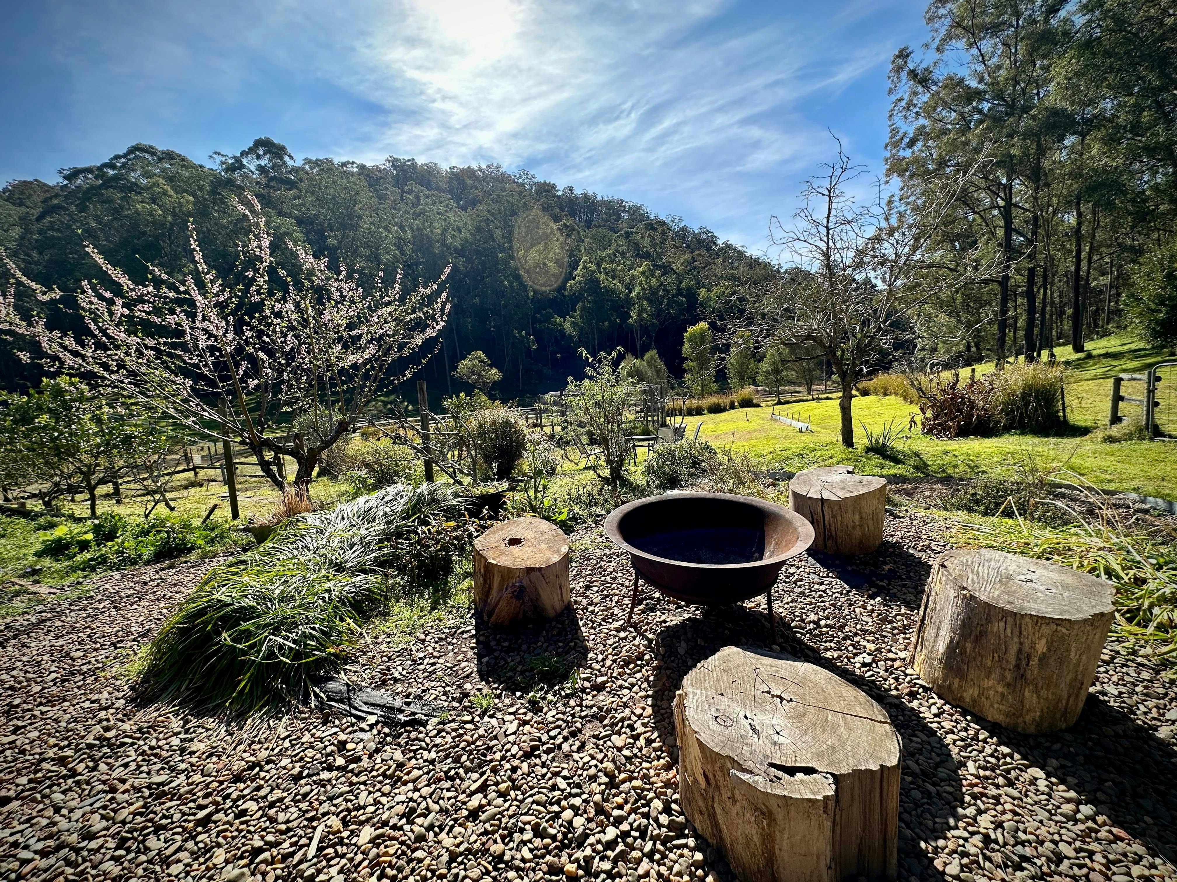 Look out over the beautiful garden and paddocks - if you bring your horse, just look outside!