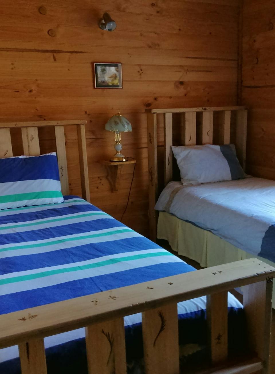 Minnow Cabins photo