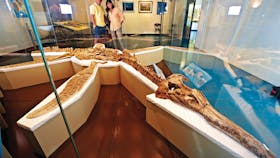 Kronosaurus Korner