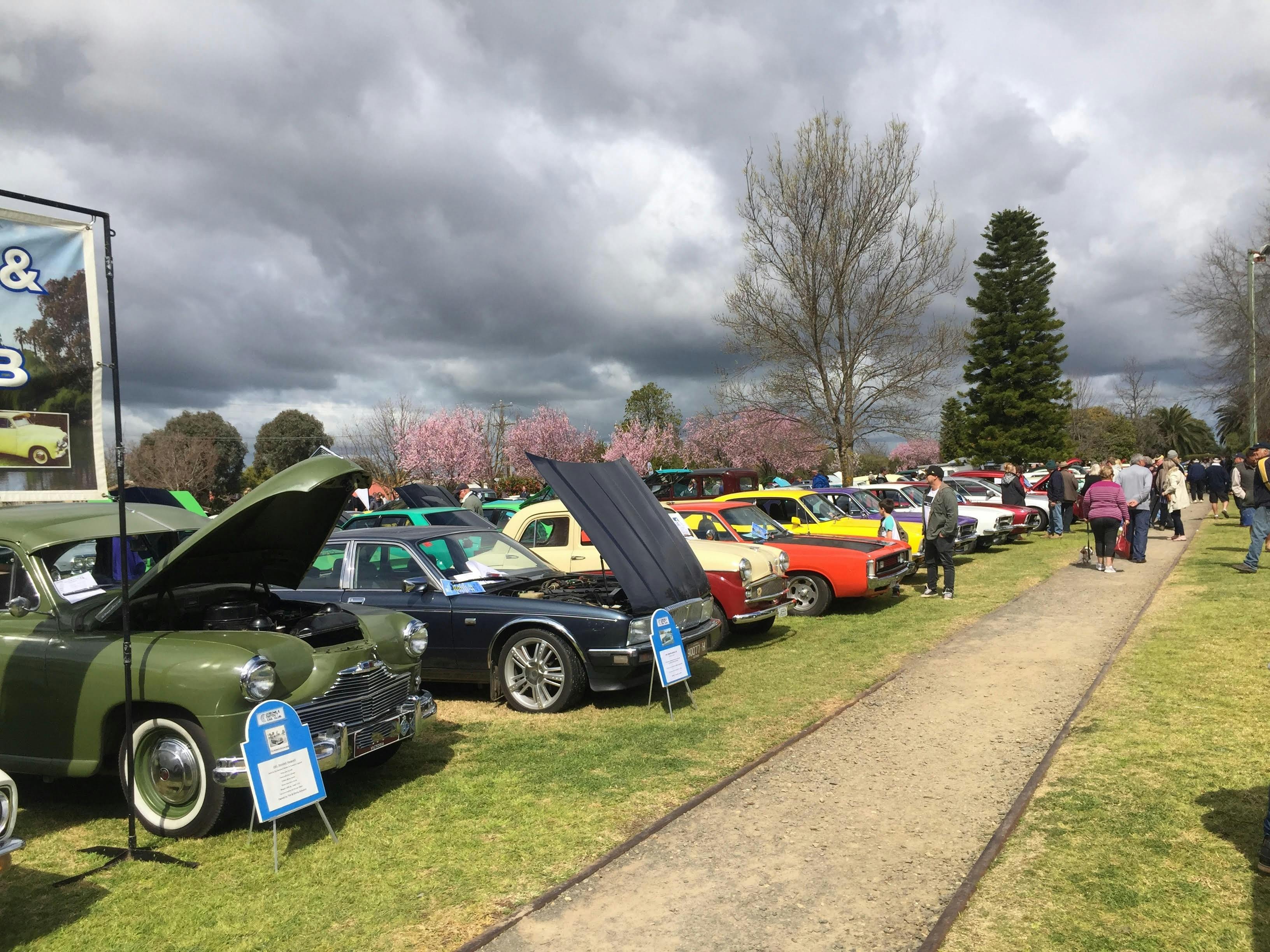 Show & Shine