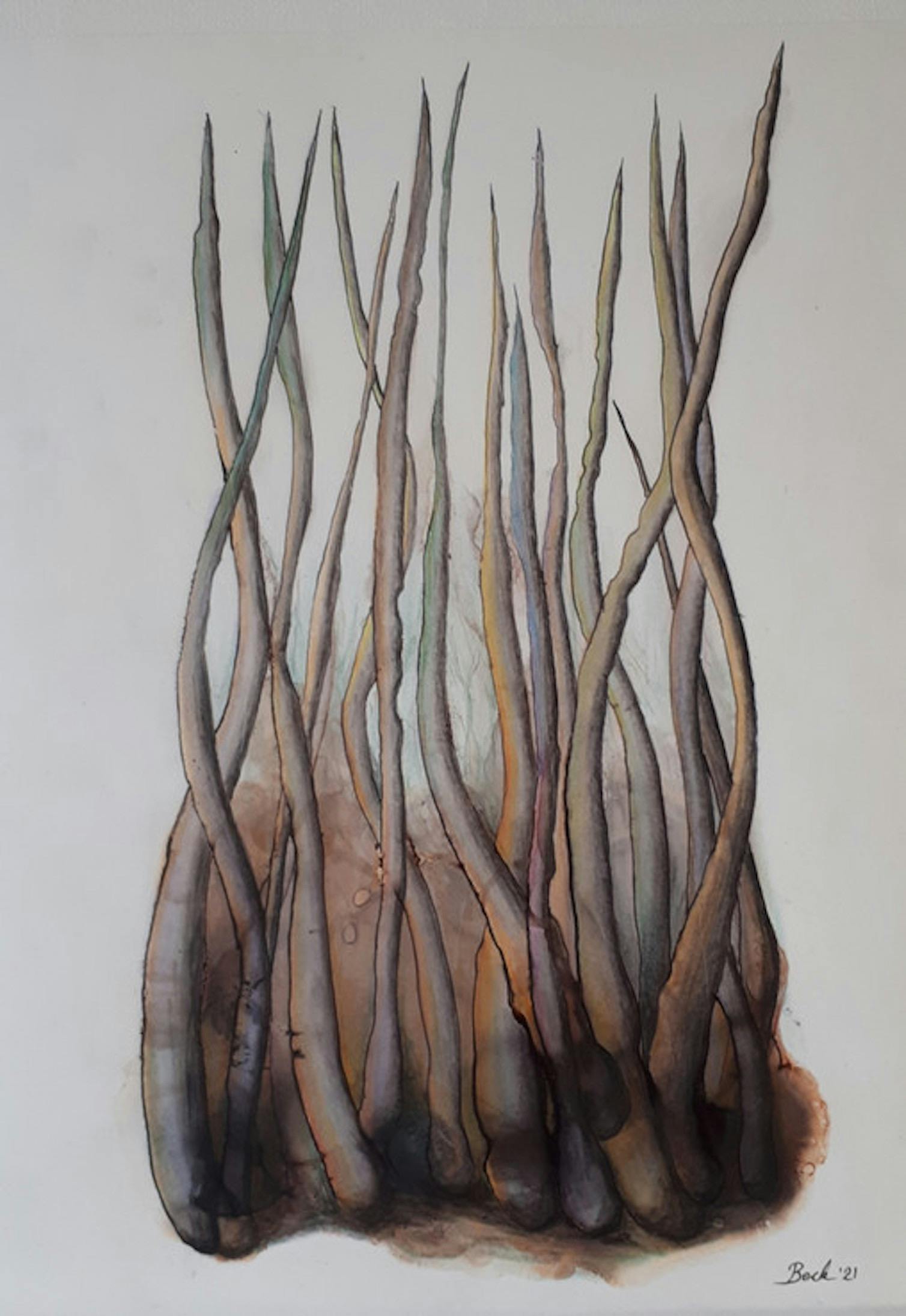 Primordial Forest -1