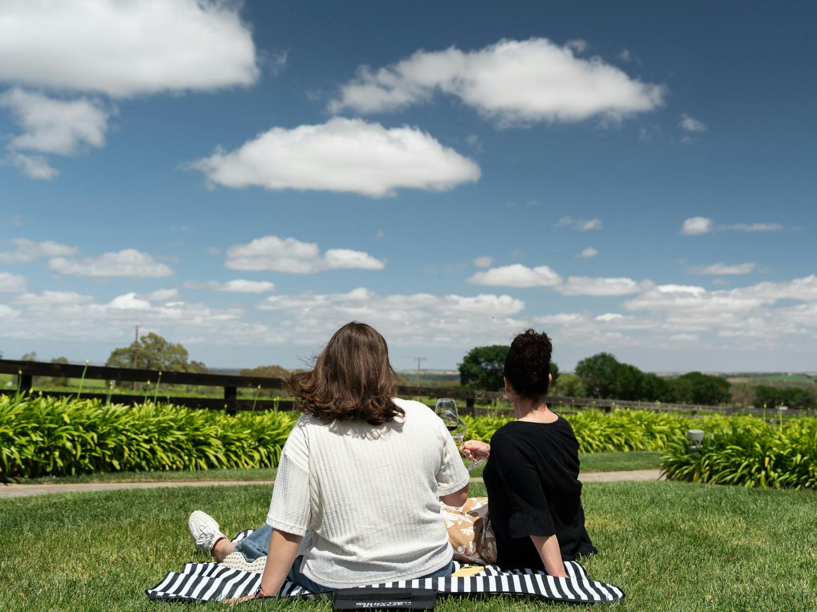 Picnic and Vino on the Cellar Door Lawn