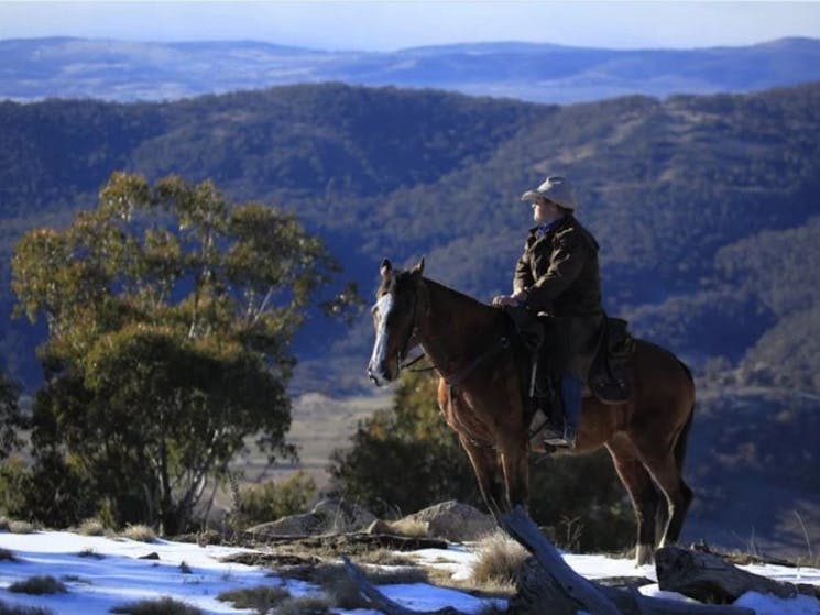 Experience the beautiful Thredbo Valley with Nev