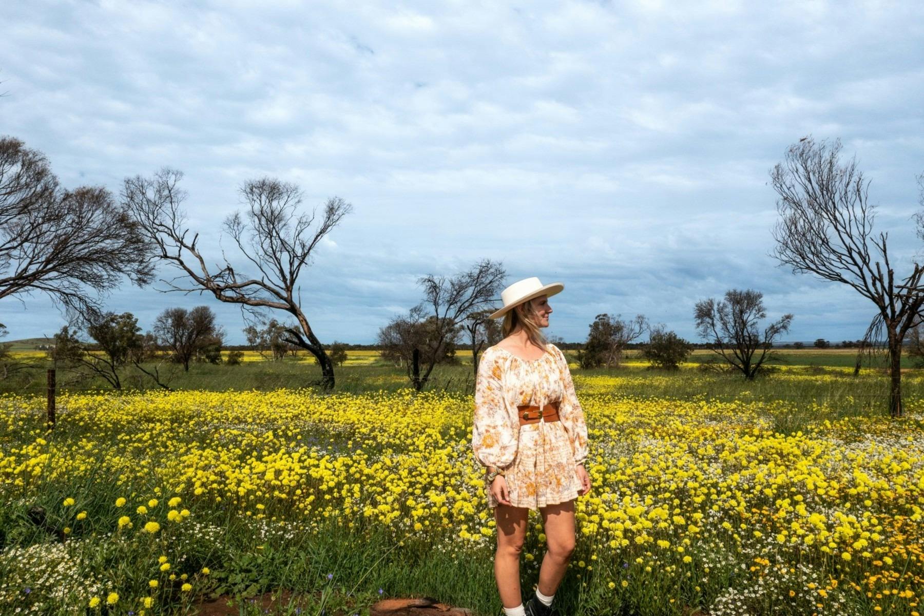 wildflower