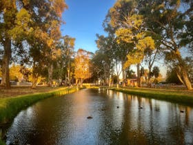 Belalie Creek, Jamestown - Walk along the creek and crossing the creek on the swing bridge.