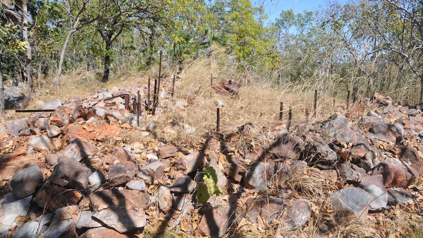 WWII K5 Anti Aircraft Gun Battery Site, Coomalie Creek