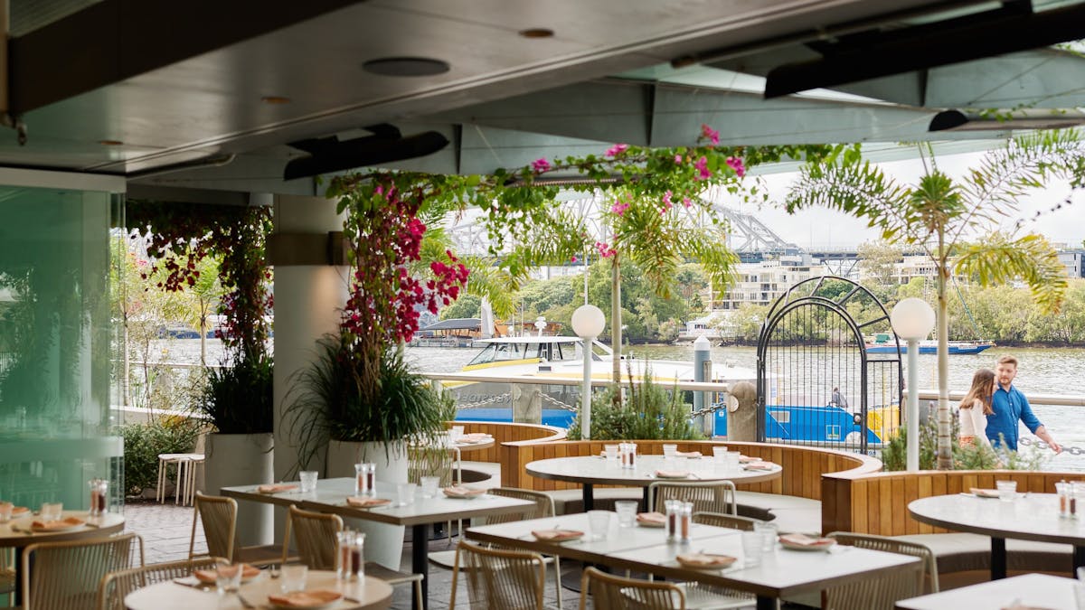 Interior landscape at Opa Bar + Mezze
