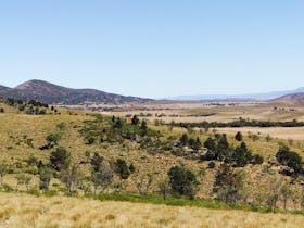 View of inside the Horsehoe Range pound from walking trail